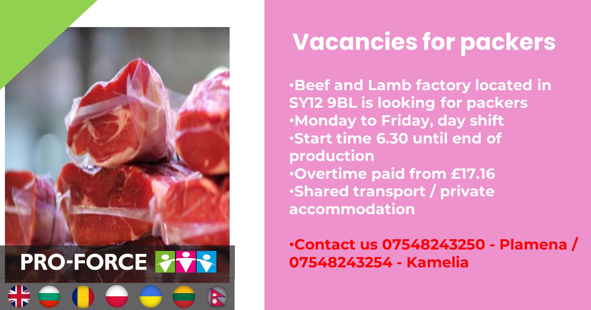 General operatives/packers  in meat factory