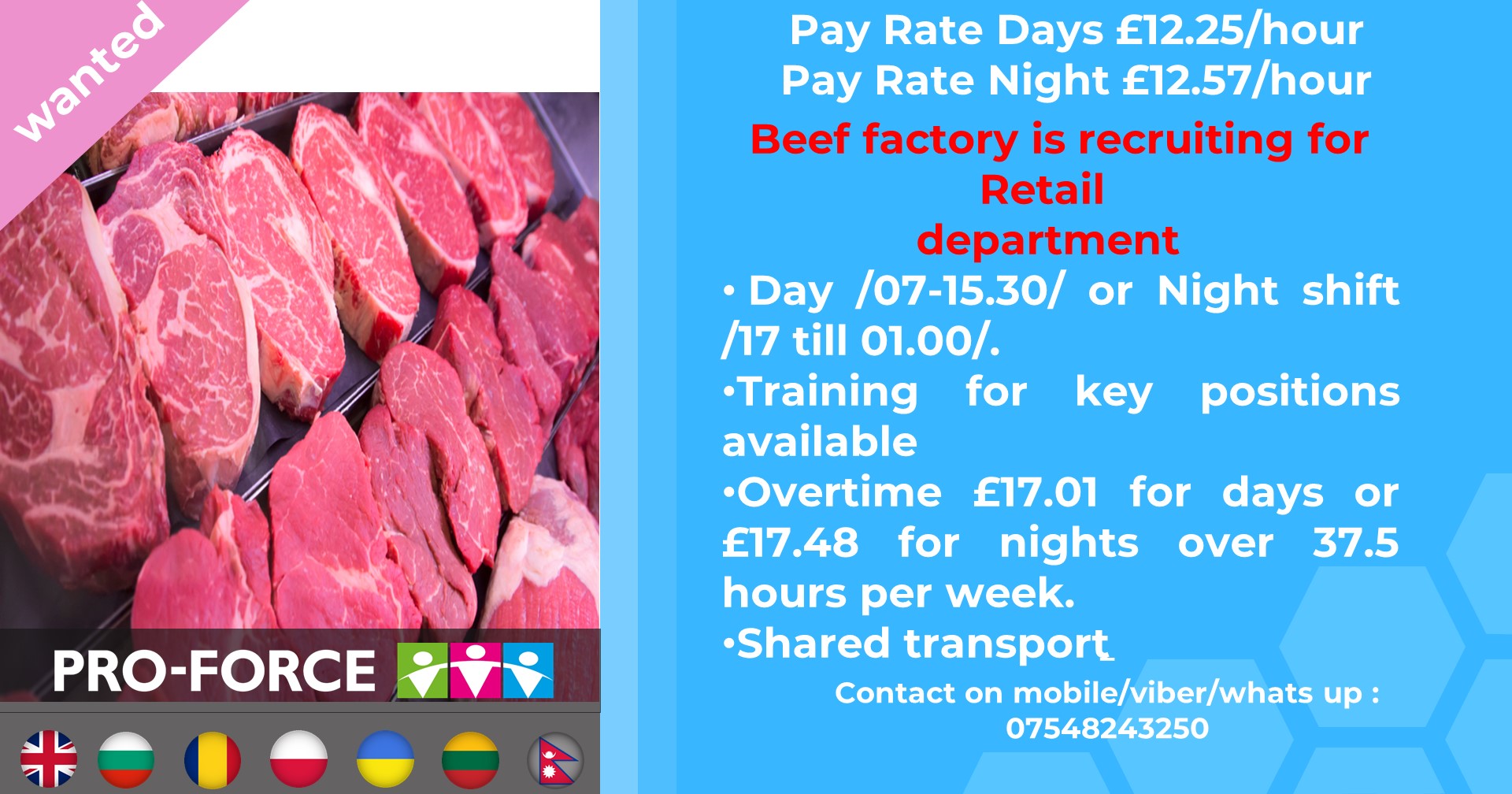 General operatives in meat factory