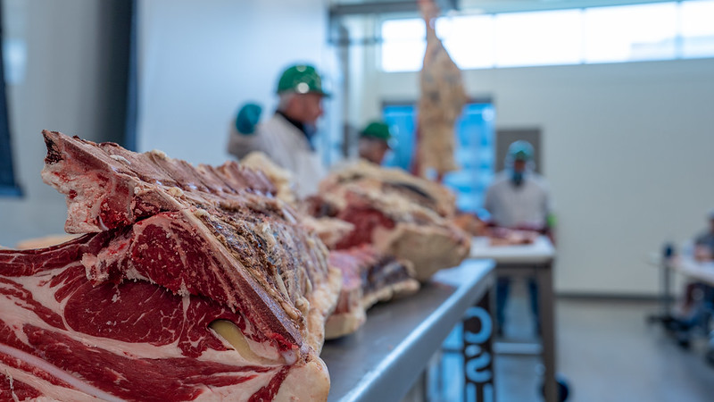 General operatives in meat factory